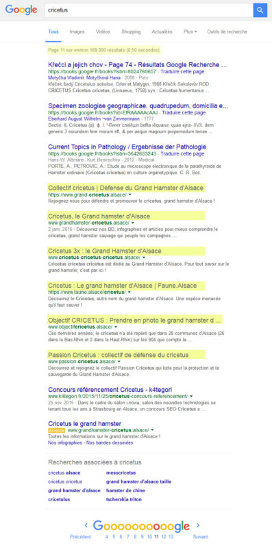 Dernière page des Serps pour le concours SEO cricetus