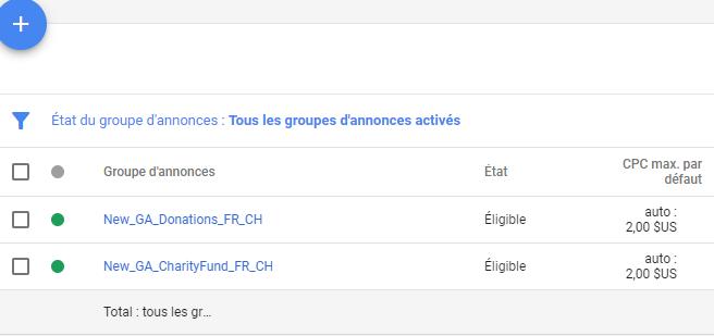 Exemple Groupe d'annonce Google Ads Grants